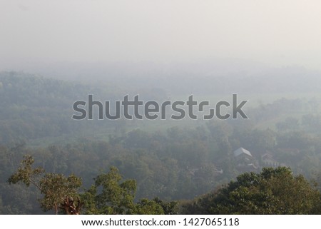 Foggy tropical forest in Java Island, Indonesia