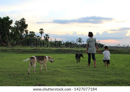 Children walking on the lawn in the evening with bright sky and sunshine, golden yellow evening, blurred photography
