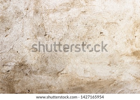 pictured in the photo gray background from the wall concrete texture