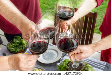 Family of different ages people cheerfully celebrate outdoors with glasses of red wine, proclaim toast