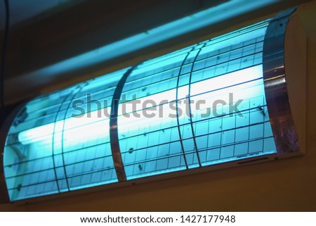 Insect Light Traps Electric fly and insect killer with blue and green UV lamp Royalty-Free Stock Photo #1427177948