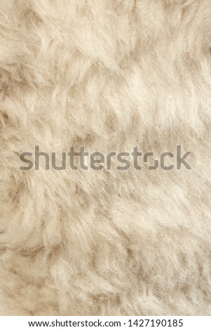 Texture of fur hair background
