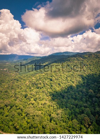 Amazing top aerial view by drone of a forest during hot summer day with beautiful clear blue sky in background and shadow of clouds. Nature composition (blurry soft focus noise grain visible)