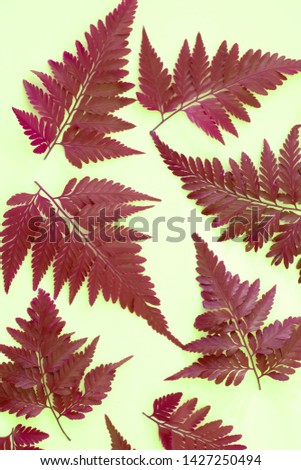 Colorized fern leaves on yellowish white background / Colorized Fern Leaves / As background, wallpaper, mural, wall, display, art piece, decoration, motifs, prints, packaging, wrapping paper or covers