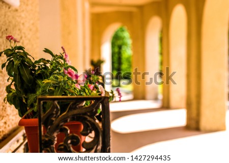 Vintage stone wall with vintage flowerpod and sunlight through the arches. Blurred background.