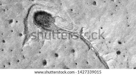 the first sperm, allegory, abstract naturalism, Black and white photo, abstract photography of landscapes of the deserts of Africa from the air, aerial view, contemporary photographic art, 