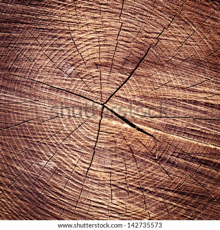 wood rings texture background. cracked wooden cut Royalty-Free Stock Photo #142735573