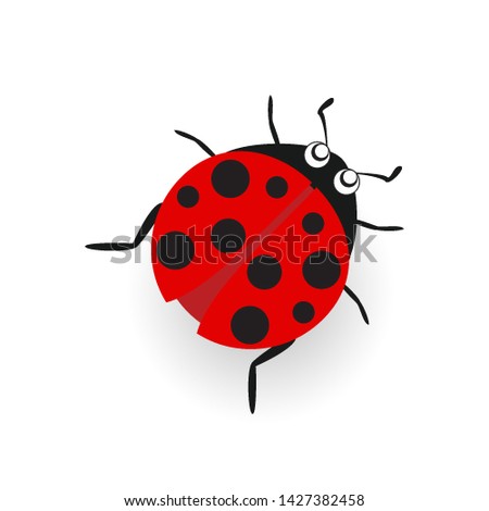 Ladybug or ladybird vector graphic illustration, isolated