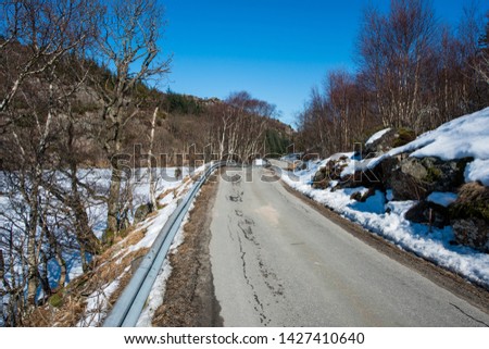 A narrow asphalt road at winter.