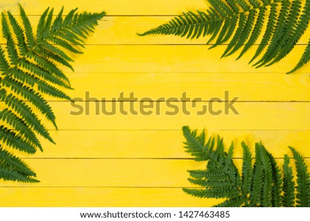 Fern leaves on yellow wooden background. Flat lay style composition, top view, copy space. Summer vacation concept. 
