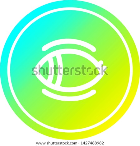 staring eye circular icon with cool gradient finish