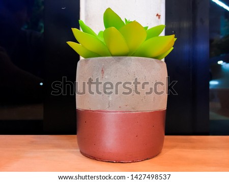 Plant pot on the wooden table.