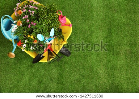 Wheelbarrow with flowers and gardening tools on grass, top view. Space for text