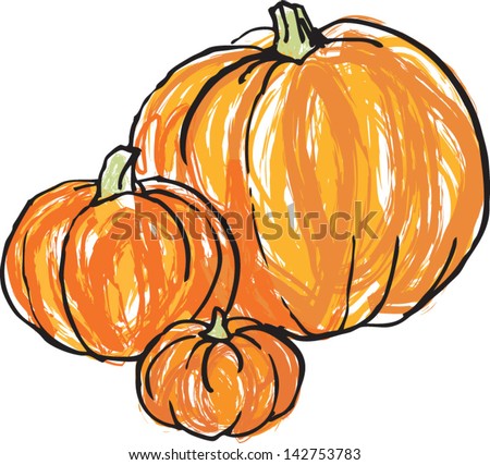Vector illustration of whole pumpkins