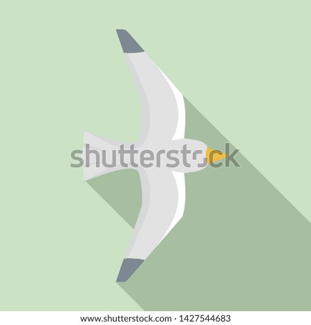 Seagull icon. Flat illustration of seagull vector icon for web design