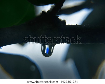 water drop with reflection macro view