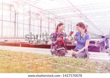 Smiling female botanists enjoying coffee break while sitting in greenhouse