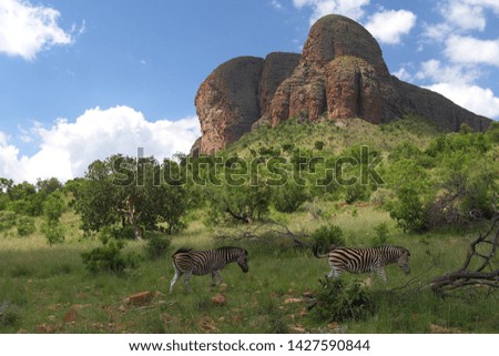  Sandstone formations and green grass with zebra's 