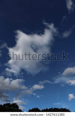 Scenery of the sky with the cloud