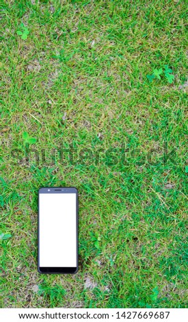 Smartphone placed in a place with grass and clover.