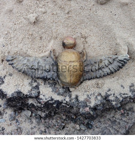 Photo Egyptian Scarab Mascot with wings. The scarab symbol is a gold find during excavations. Figurine Scarab beetle lying on the sand.