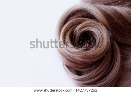 Beautiful hair. Brown hair. Hair is gathered in a bun on a white background. With free space for text. For a poster or business card.
