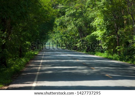 When the greenery Stretching along the roadside Therefore being a tree tunnel