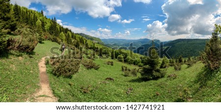 The meadows in The Vratna valley at the national park Mala Fatra, Slovakia.