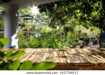 Summer desk of free space for your decoration and blurred background of garden with few leaves of trees. Sunny day. 