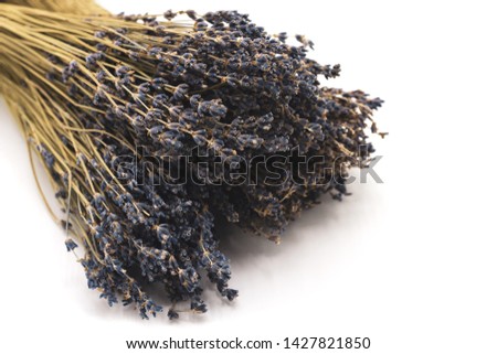 bunch of dry lavender on a white background