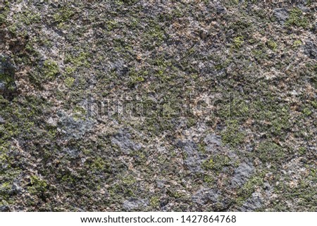 Granite texture with moss in Madrid, Spain.