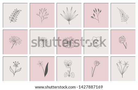 Set of Hand Drawn Floral Elements Vector