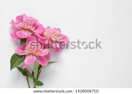 Beautiful fresh peony flowers with leaves on white background, top view