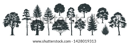 Trees silhouettes. Forest and park pines firs and spruces, coniferous and deciduous trees. Vector isolated retro images nature set Royalty-Free Stock Photo #1428019313