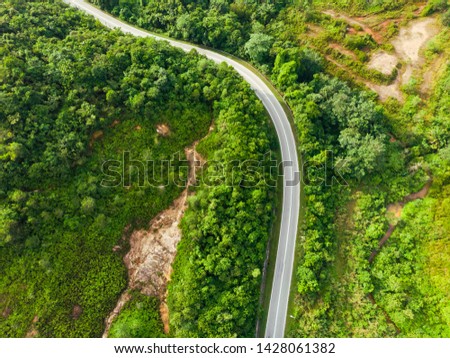 topdown aerial view of winding road in a forest