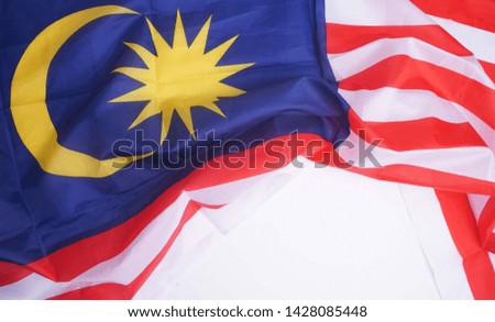 Malaysia Flag on white background.                               