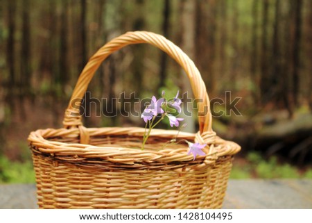 basket of flowers on a wooden table in the forest