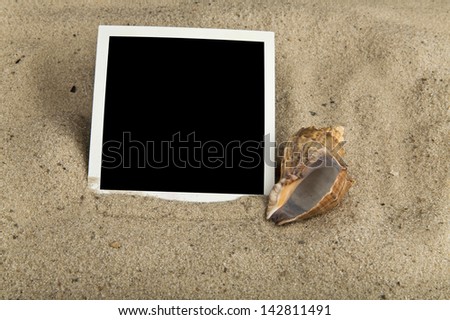 photography and seashells in the sand
