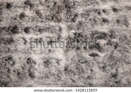 Background from natural fur. Animal Hair Background.