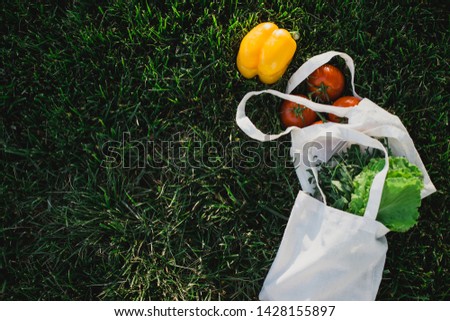 Ecological zero waste straw shopping bag with vegetables standing on a grass in a park