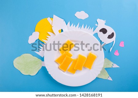 cheese on blue background. dairy products