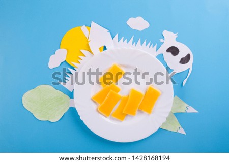 cheese on blue background. dairy products