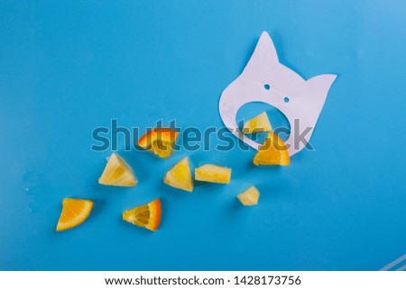 different tropical fruits on the blue background