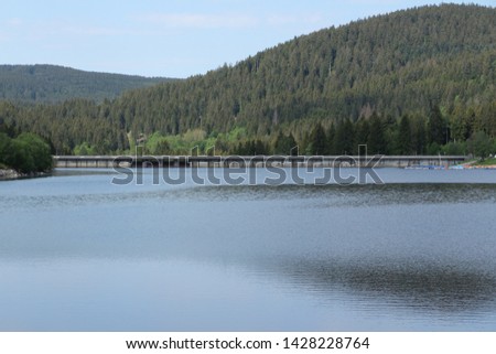 View of the Schluchsee in the Black Forest in Germany