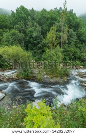 A long exposure of a flowing river among a green forest under a misty sky.