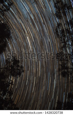 star trail in the night sky in between two trees