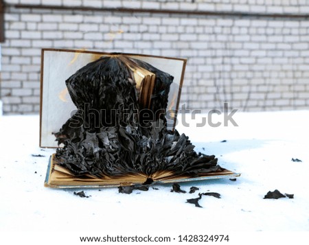 burning book in the snow. pages with the text in the open book burn with a bright flame.