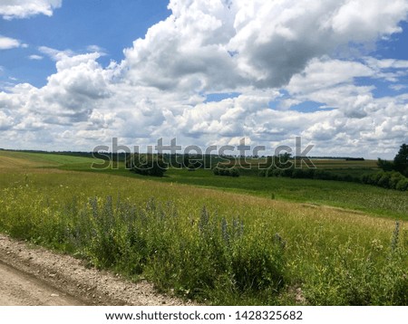 Summer sunshine day in the village in Ukraine with field, trees and clouds