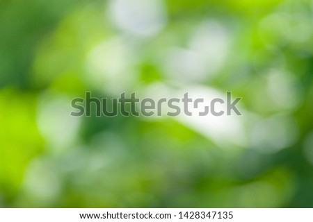 Blurred soft daytime floral background with bokeh effect. Background creative wallpaper for installation and design.