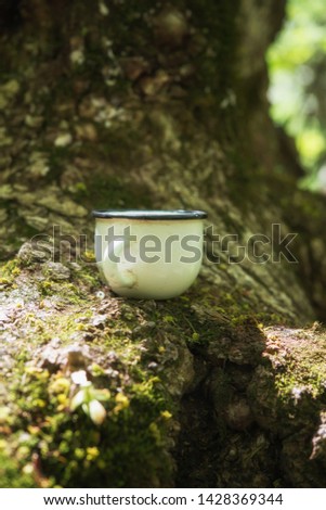 Enameled mug on the tree in the forest.
